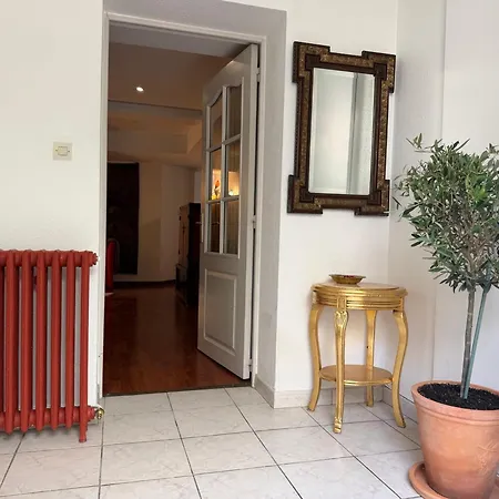 Maison De Maitre - Jardin Apartment
